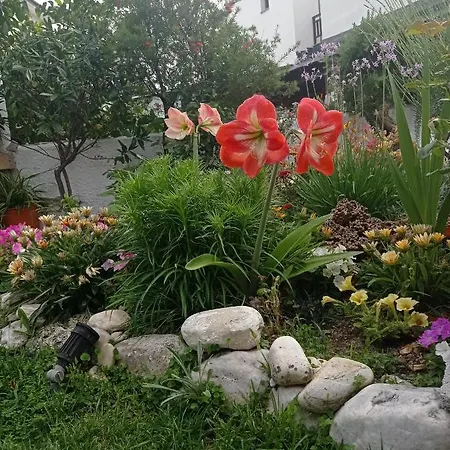 別荘 Poly's Sea Side House