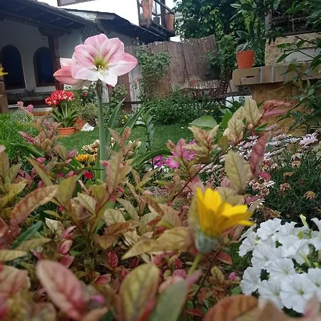 Poly's Sea Side House 別荘 コロピ