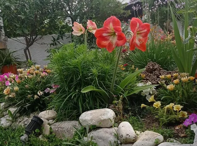 Holiday home Poly's Sea Side House