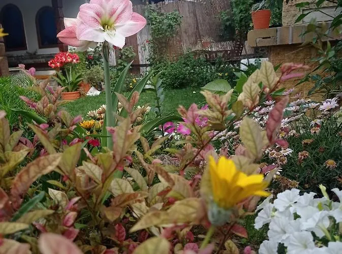 Poly's Sea Side House Case de vacanță Koropi